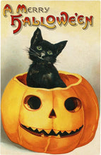 Load image into Gallery viewer, Pumpkin Guts - Vintage Halloween Collection